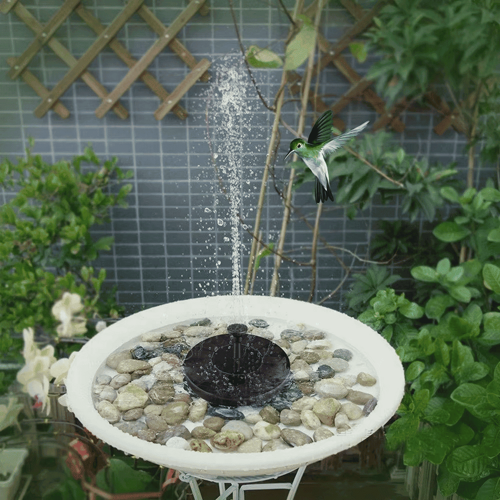 Solar-powered fountain in garden birdbath, spraying water upward under sunlight