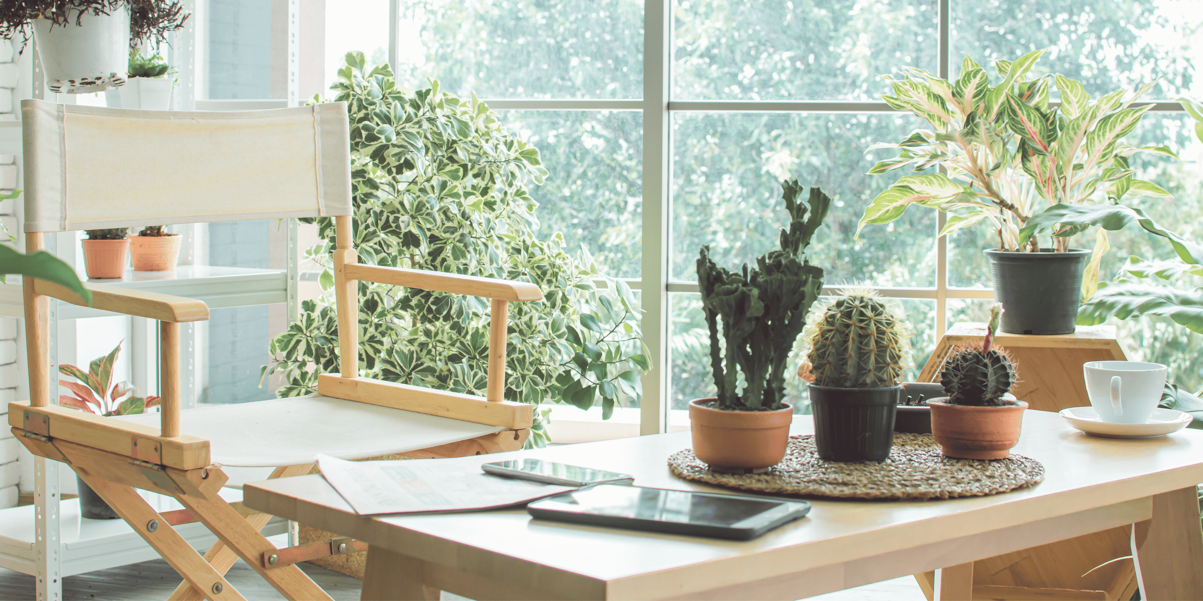 Cozy indoor corner with chair, cactus, and plants featured on Homivue About Us section